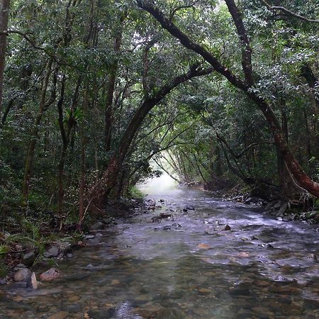 Heritage Lodge In The Daintree Cape Tribulation Buitenkant foto