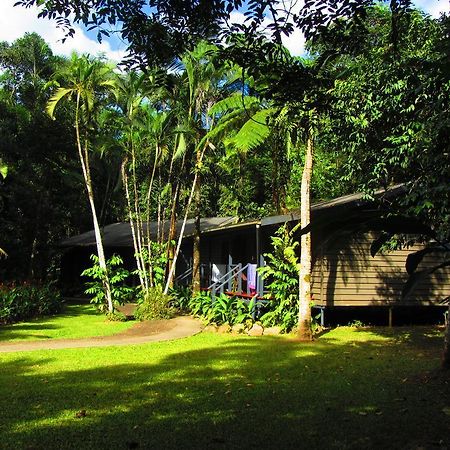 Heritage Lodge In The Daintree Cape Tribulation Buitenkant foto