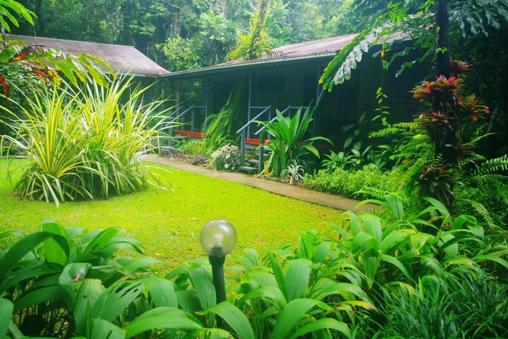 Heritage Lodge In The Daintree Cape Tribulation Buitenkant foto