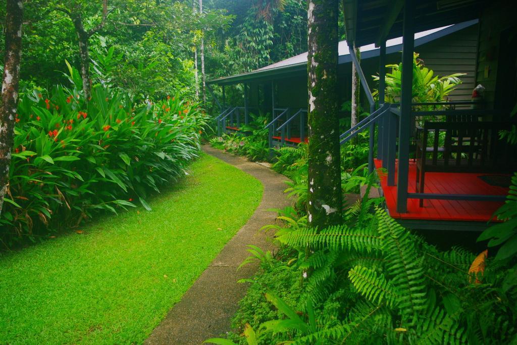 Heritage Lodge In The Daintree Cape Tribulation Buitenkant foto