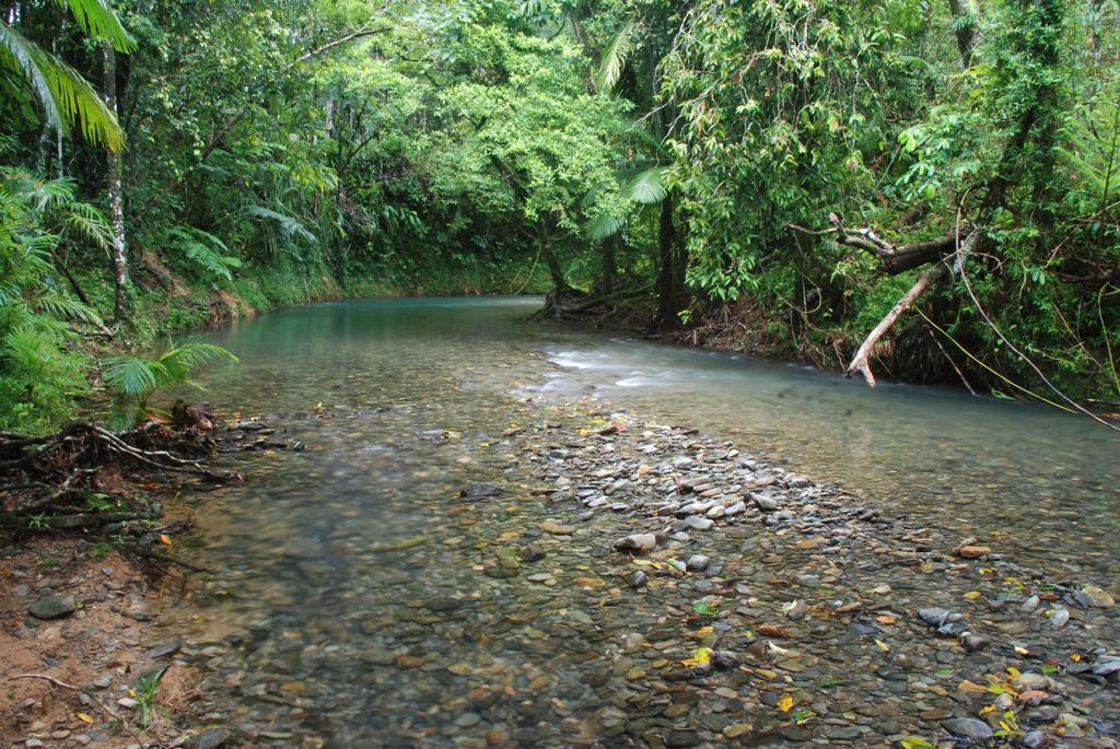 Heritage Lodge In The Daintree Cape Tribulation Buitenkant foto