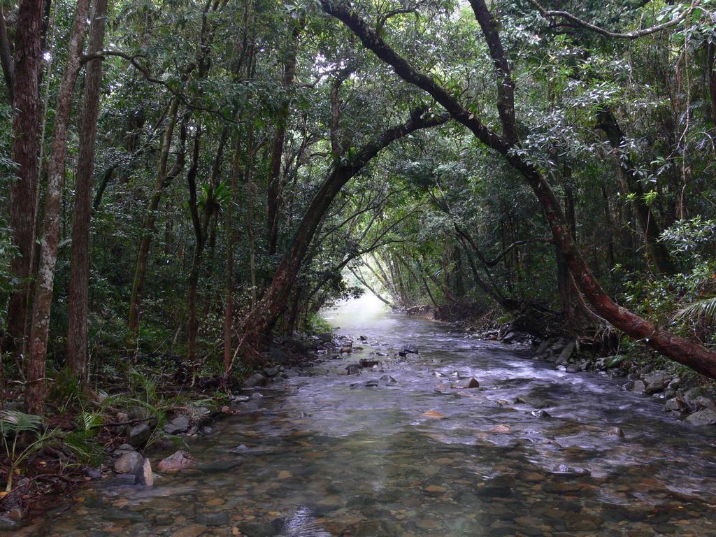 Heritage Lodge In The Daintree Cape Tribulation Buitenkant foto