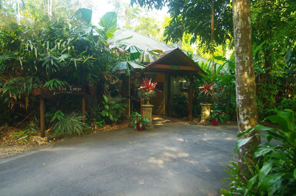 Heritage Lodge In The Daintree Cape Tribulation Buitenkant foto